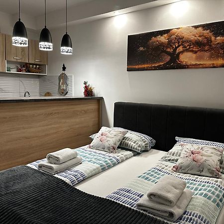 Cozy Studio Cik-Cak Doboj Kültér fotó