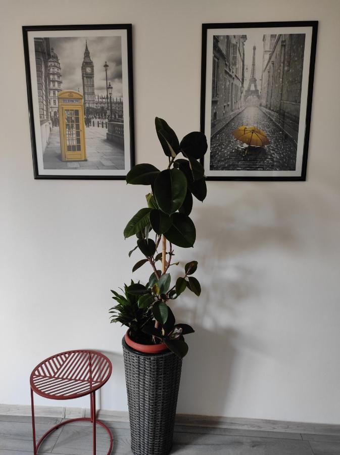Cozy Studio Cik-Cak Doboj Kültér fotó
